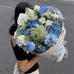 Cẩm tú cầu mix - L600